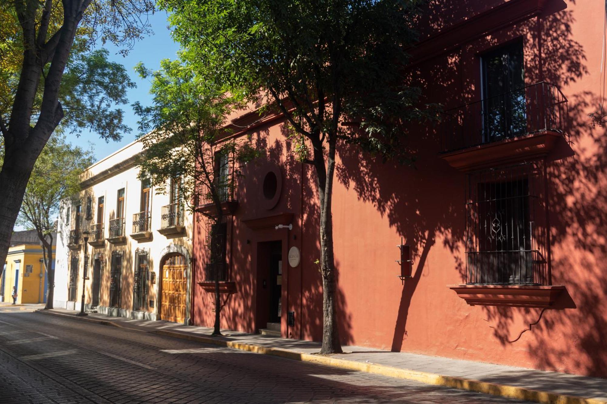 El Consuelo Ξενοδοχείο Oaxaca Εξωτερικό φωτογραφία